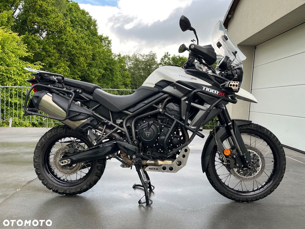 Triumph Tiger - 4