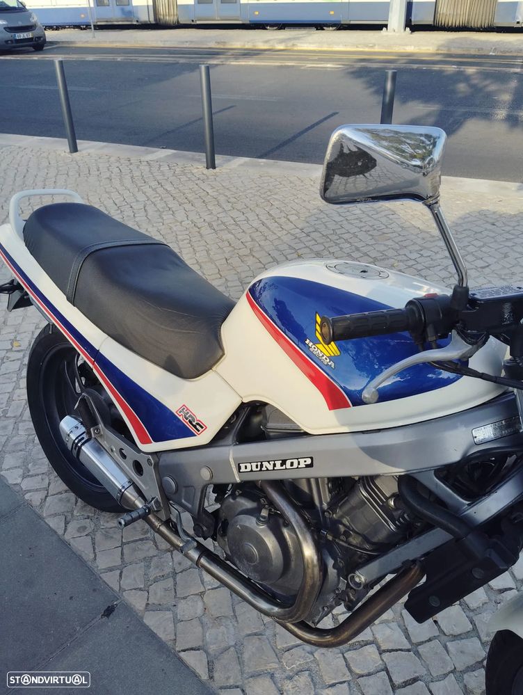 Honda NTV - 8