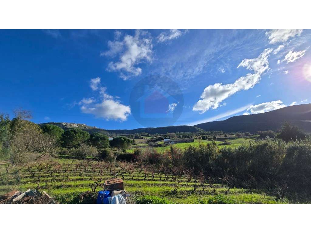 Terreno com 2.200 m², localizado em Pragança, no concelho do Cadaval - Grande imagem: 3/15