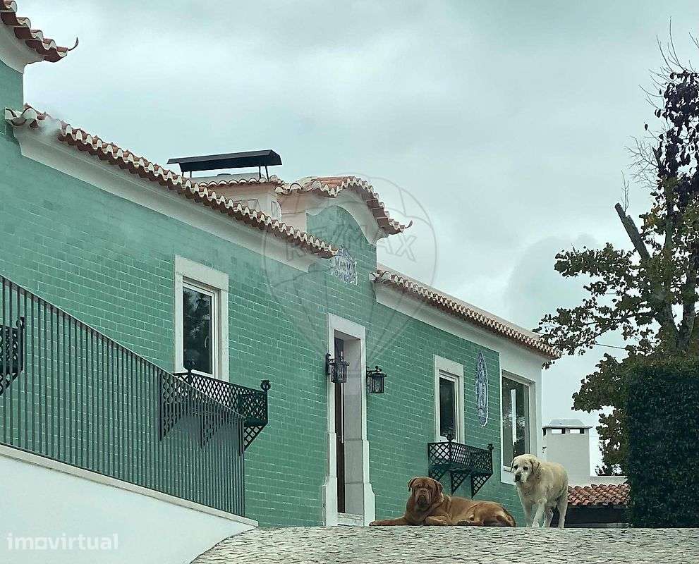 Quinta T13 para venda - Grande imagem: 3/31