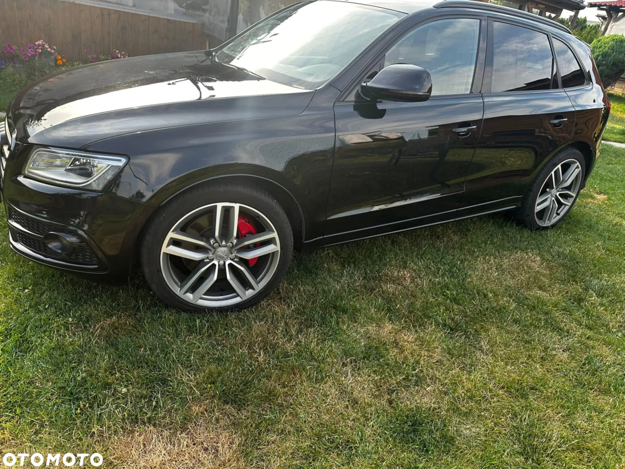 Audi SQ5 3.0 TDI Quattro Tiptronic EU6 - 2