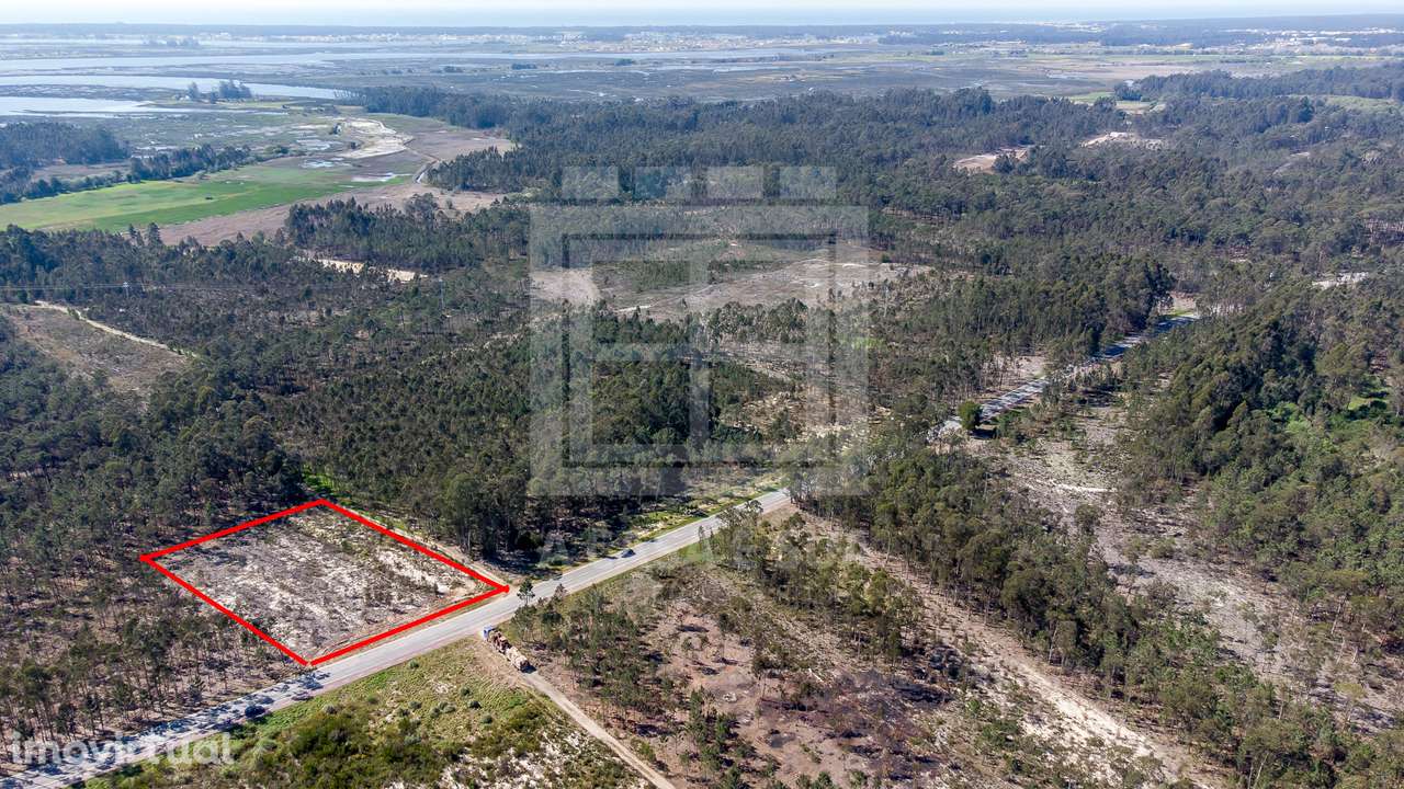 Terreno rústico com 3.810 m2 em Válega - Grande imagem: 4/18