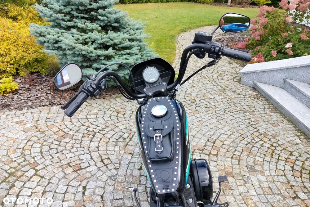 Harley-Davidson Sportster Iron 1200 - 10