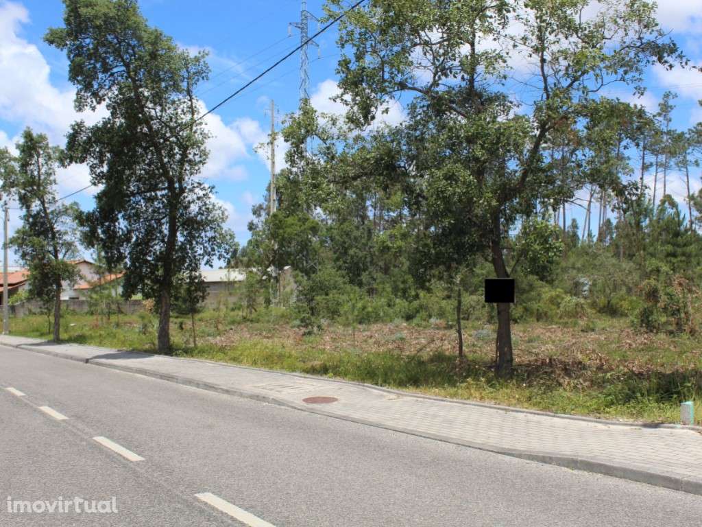 Terreno c/ 6970m2 - Grande imagem: 2/4