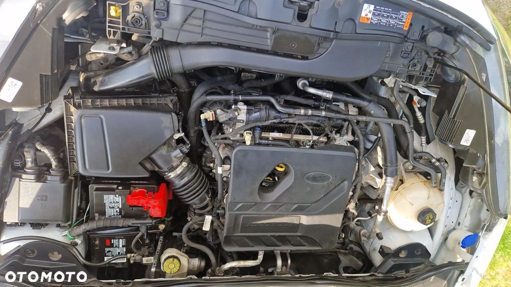 Ford Escape 1.5 EcoBoost AWD SE - 16