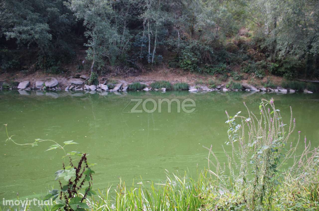 Terreno na margem do Rio Dão - Grande imagem: 5/23