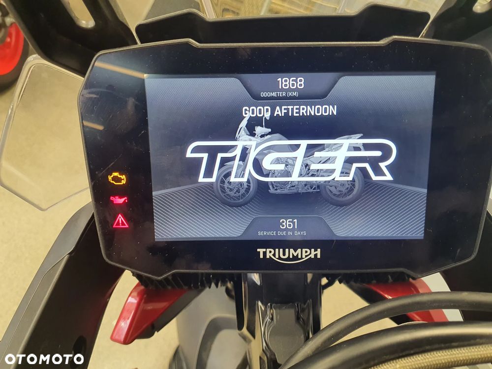 Triumph Tiger - 15