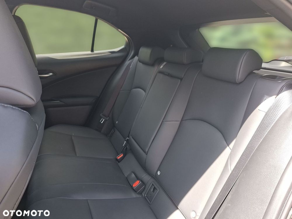 Lexus UX 250h GPF F Sport Design 2WD - 13