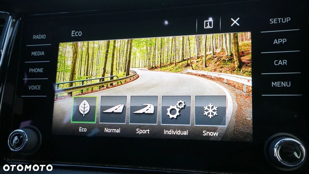 Skoda Kodiaq 2.0 TSI 4x4 Sportline DSG - 21