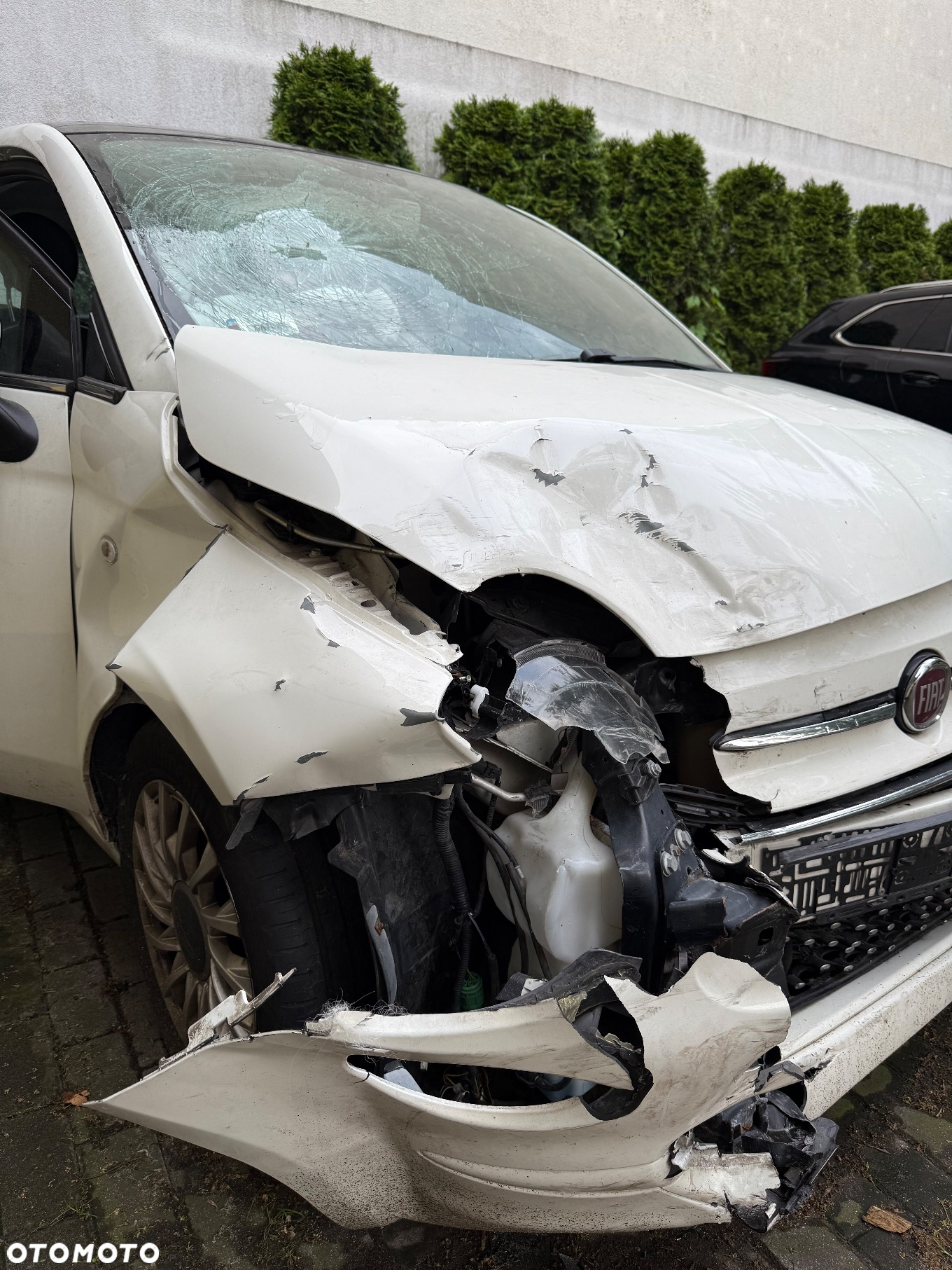 Fiat 500 1.2 Lounge - 3