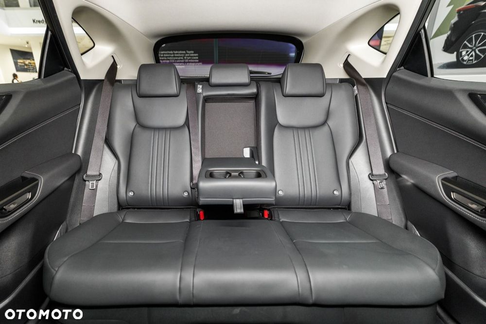 Lexus NX - 18