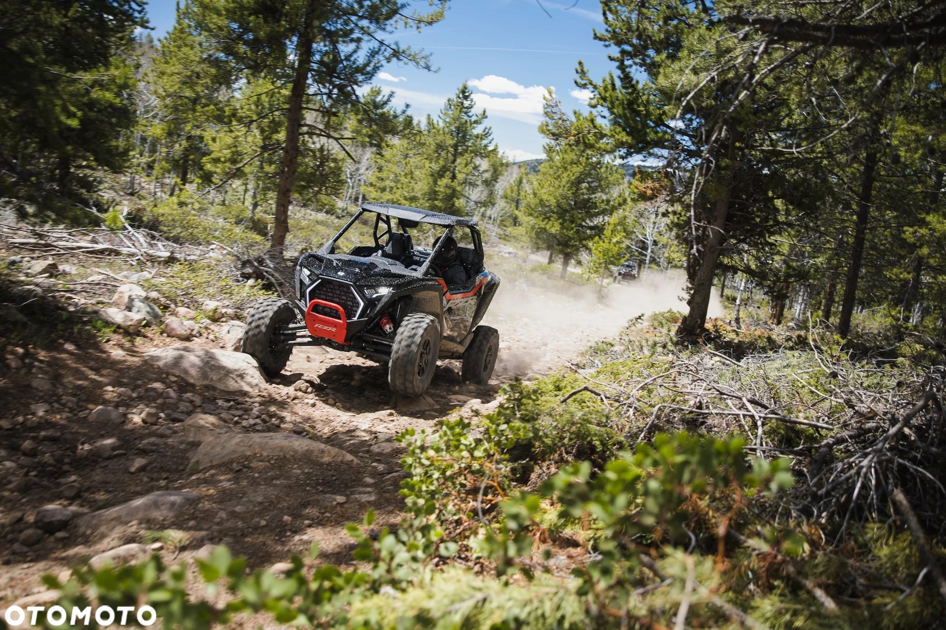 Polaris RZR - 11