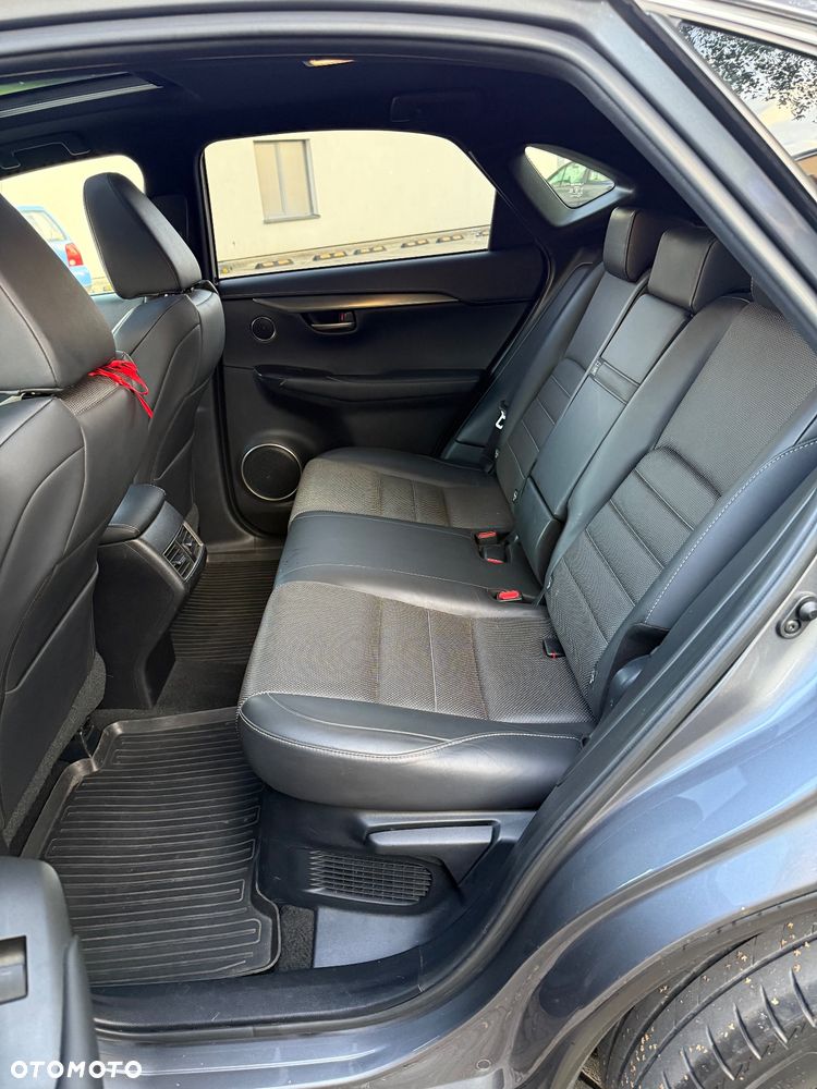 Lexus NX 300h F Sport Edition AWD - 16