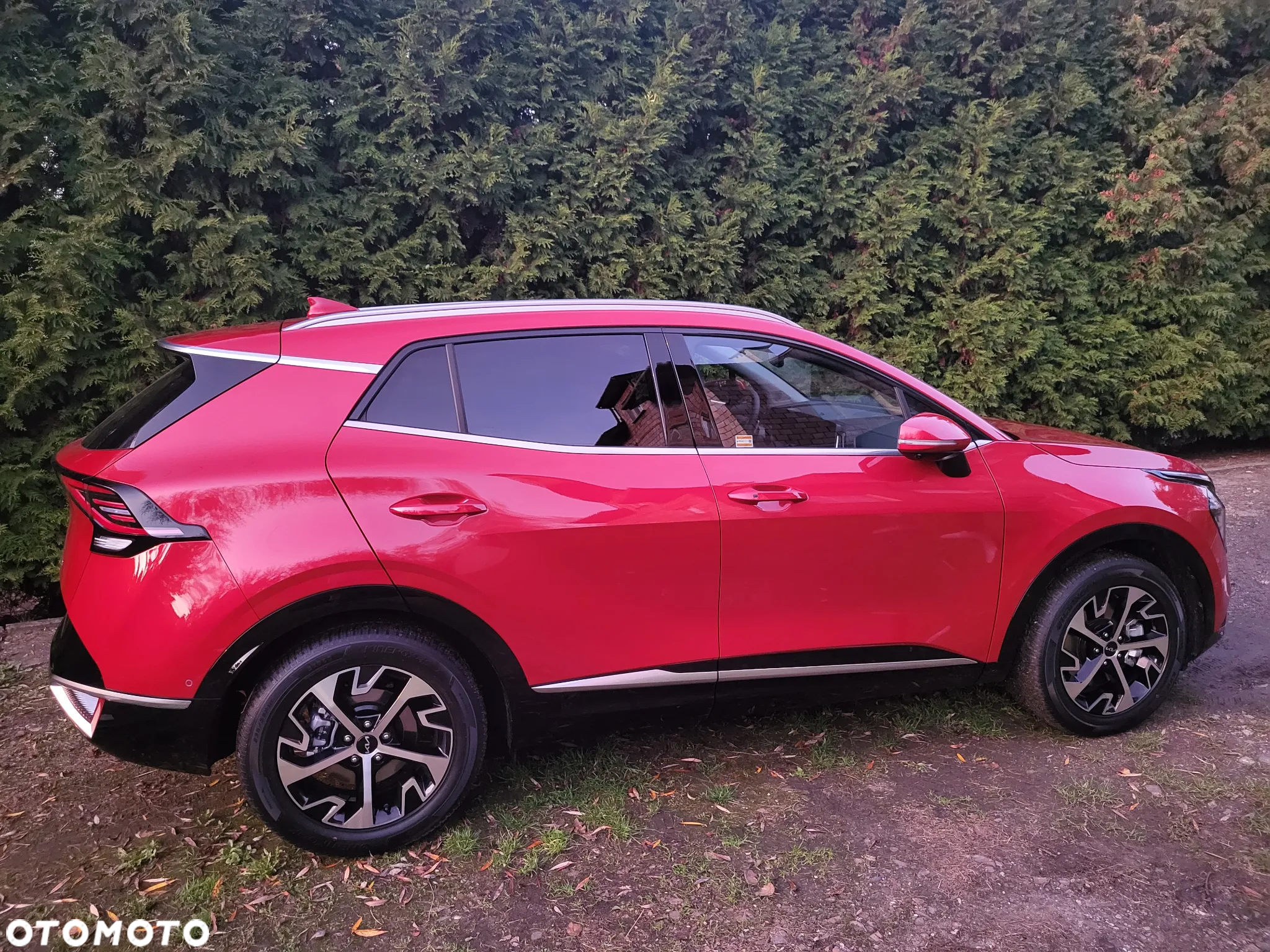 Kia Sportage 1.6 T-GDI HEV Business Line 4WD - 2