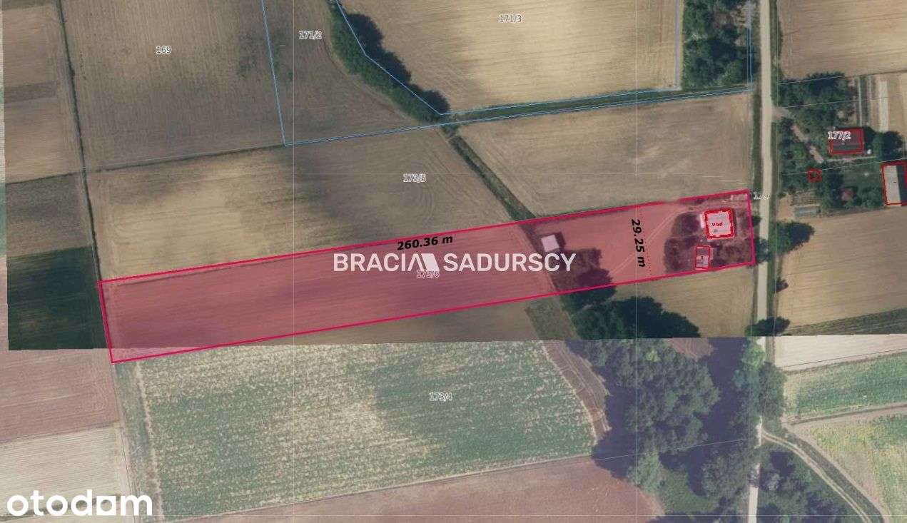 Działka, 7 730 m², Kazimierza Wielka - Pełny obrazek: 3/14