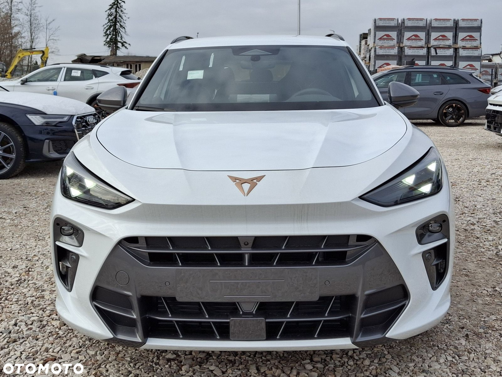 Cupra Terramar - 2