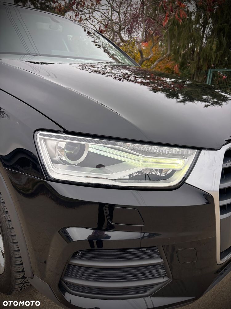 Audi Q3 2016 photo 5