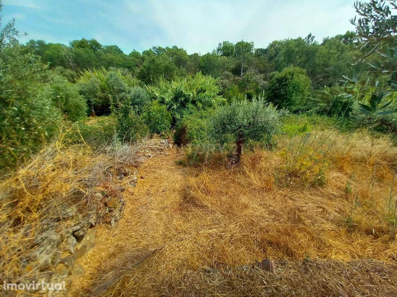 Terreno Rustico 480m2 Palvarinho - Grande imagem: 2/10