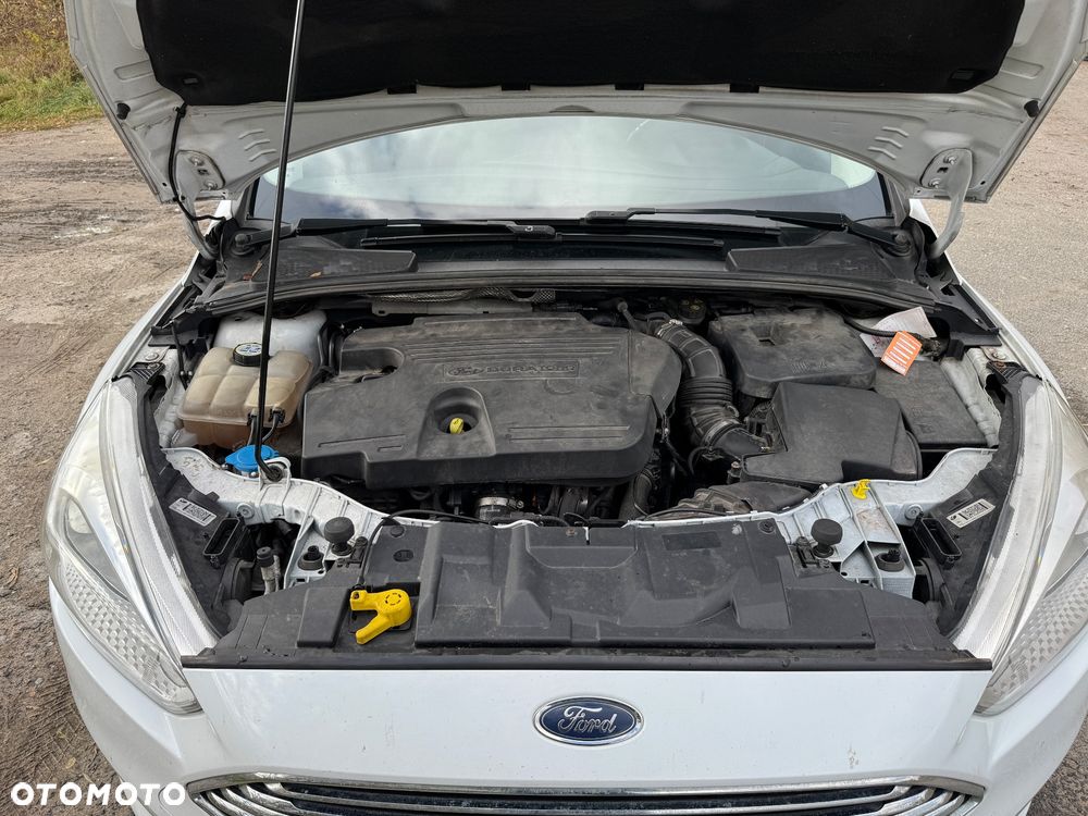 Ford Focus - 13