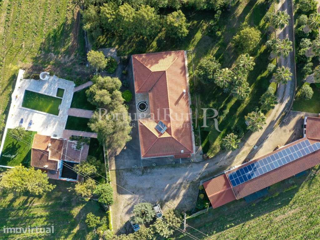 Quinta com 1,7 hectares na Vidigueira com produção agricola - Grande imagem: 4/37