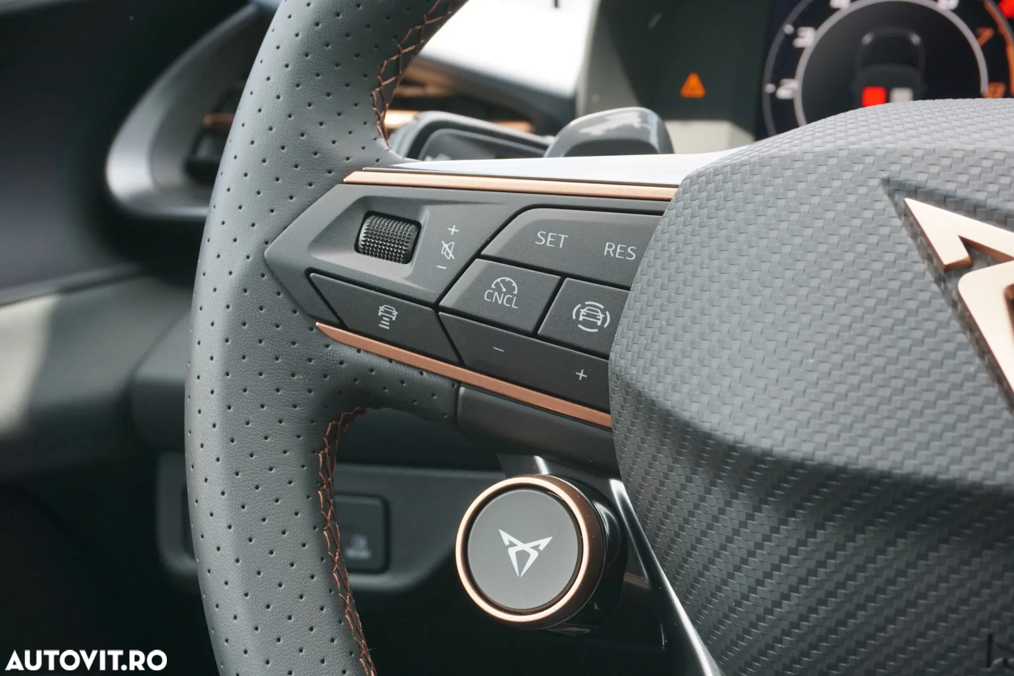 Cupra Terramar - 16