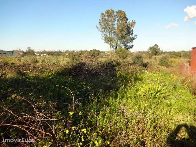 Terreno de cultivo - Grande imagem: 4/5