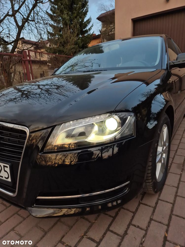 Audi A3 Sportback 1.6 Attraction - 23