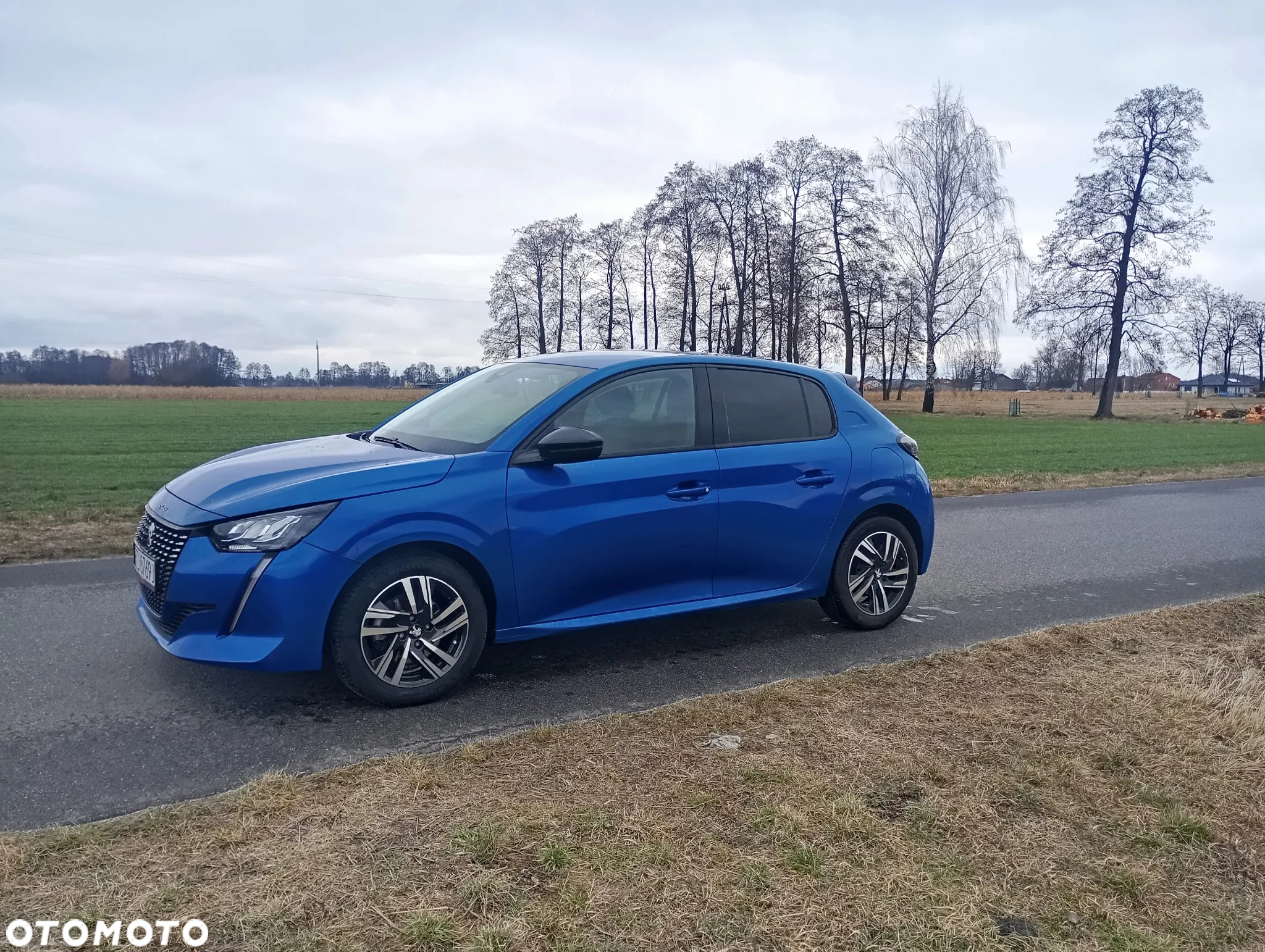 Peugeot 208 PureTech 100 Active - 12