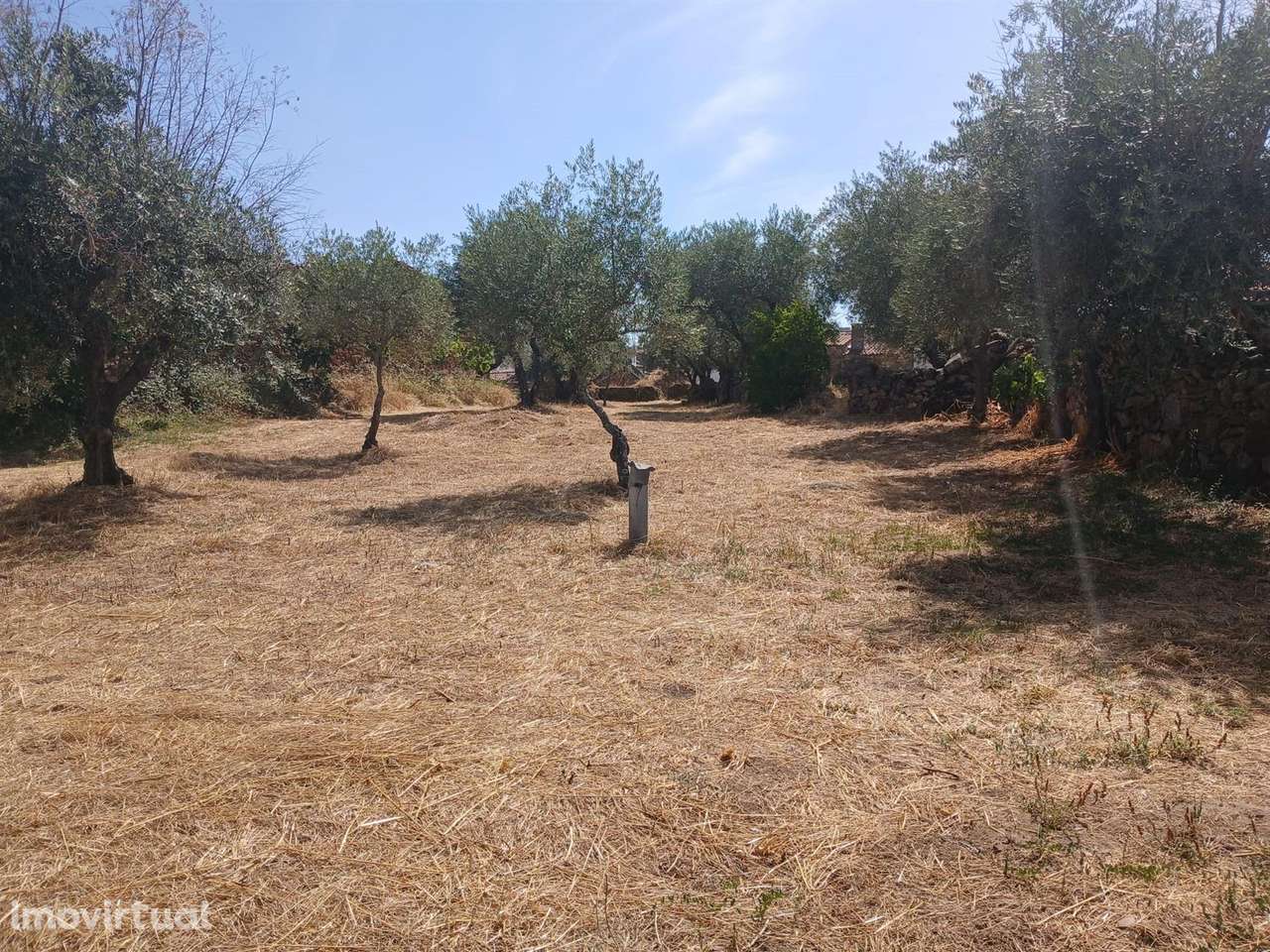 Quintinha - Grande imagem: 4/10