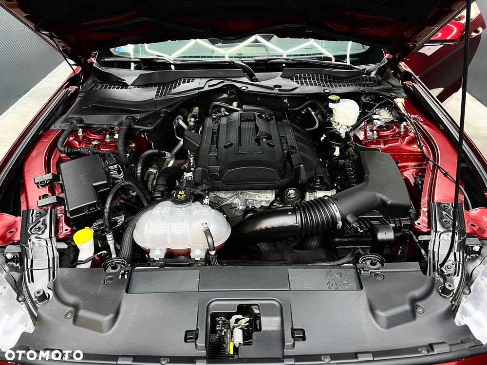 Ford Mustang - 22