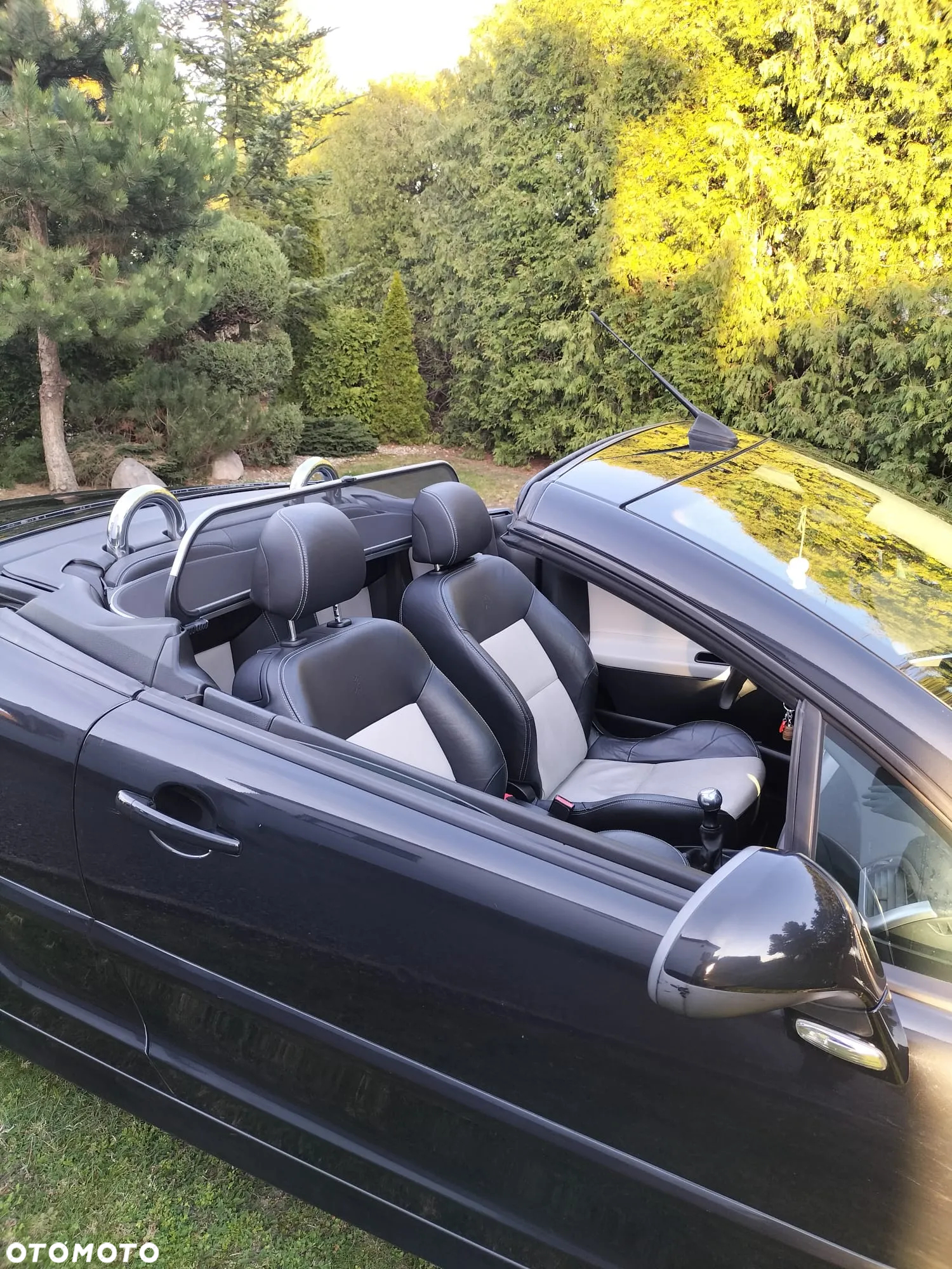 Peugeot 207 CC FAP 110 (Blue Lion) Roland Garros - 7