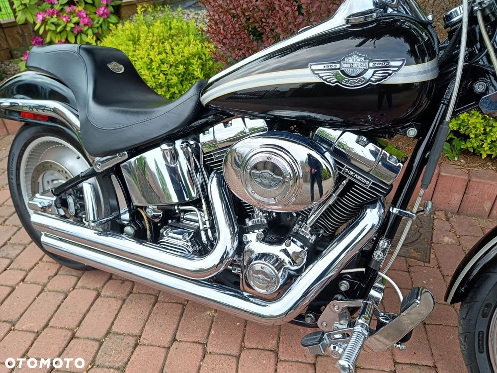 Harley-Davidson Softail - 10