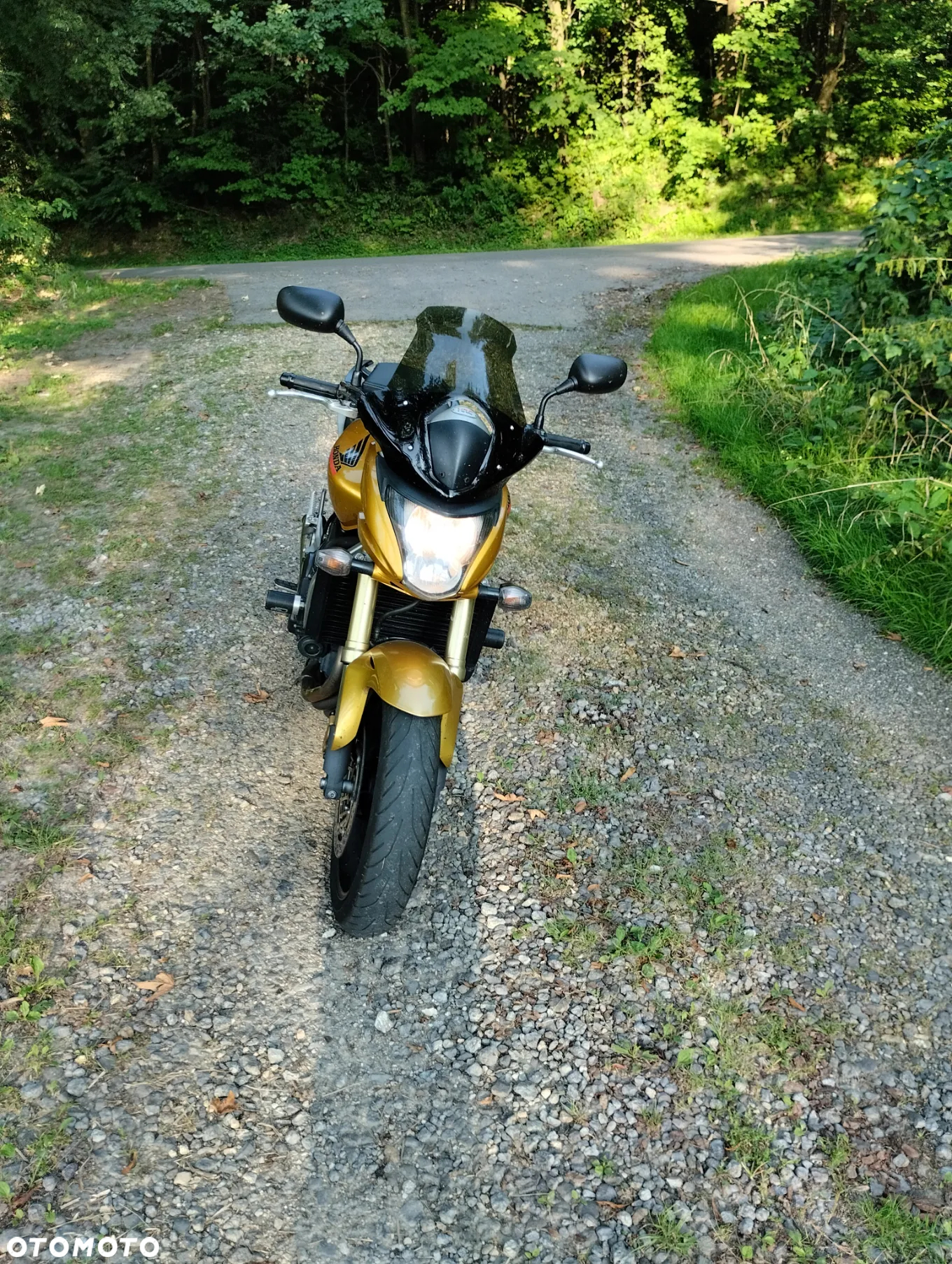Honda Hornet - 11