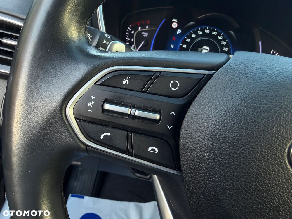 Hyundai Santa Fe 2.0 CRDi Platinum 4WD - 24