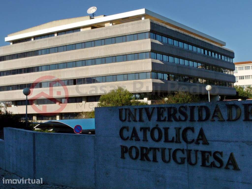 Apartamento T1 com Logradouro arrendado em Prédio Reabilitado, junt... - Grande imagem: 5/5