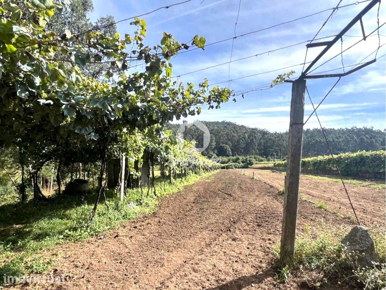 Terreno em Barcelos - Grande imagem: 3/22