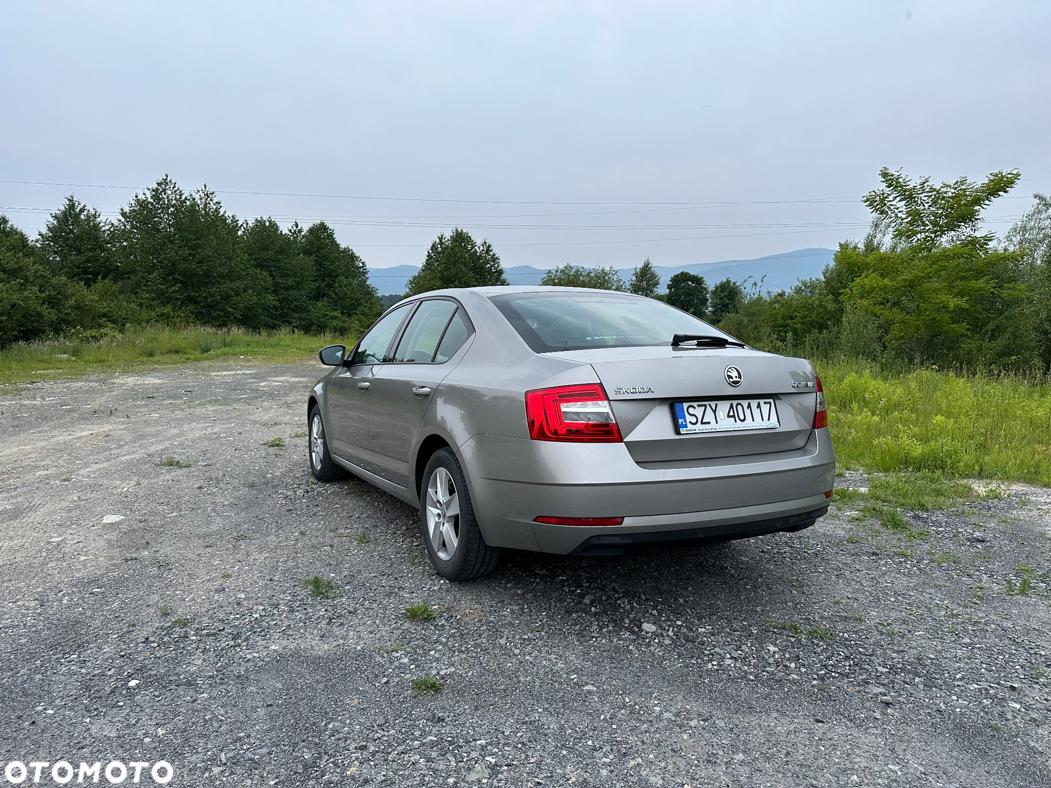 Skoda Octavia 1.6 TDI Business - 2