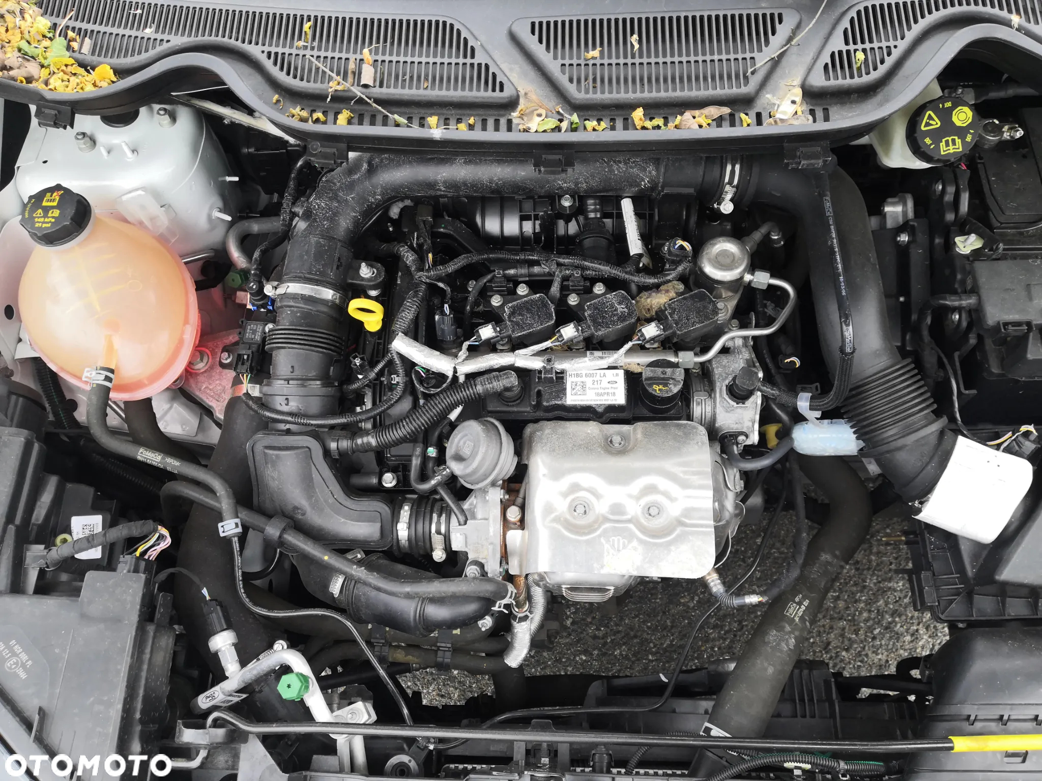 Ford EcoSport - 19
