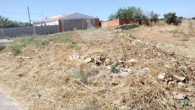 Terreno (anterior ruína) com projecto aprovado - Grande imagem: 3/10