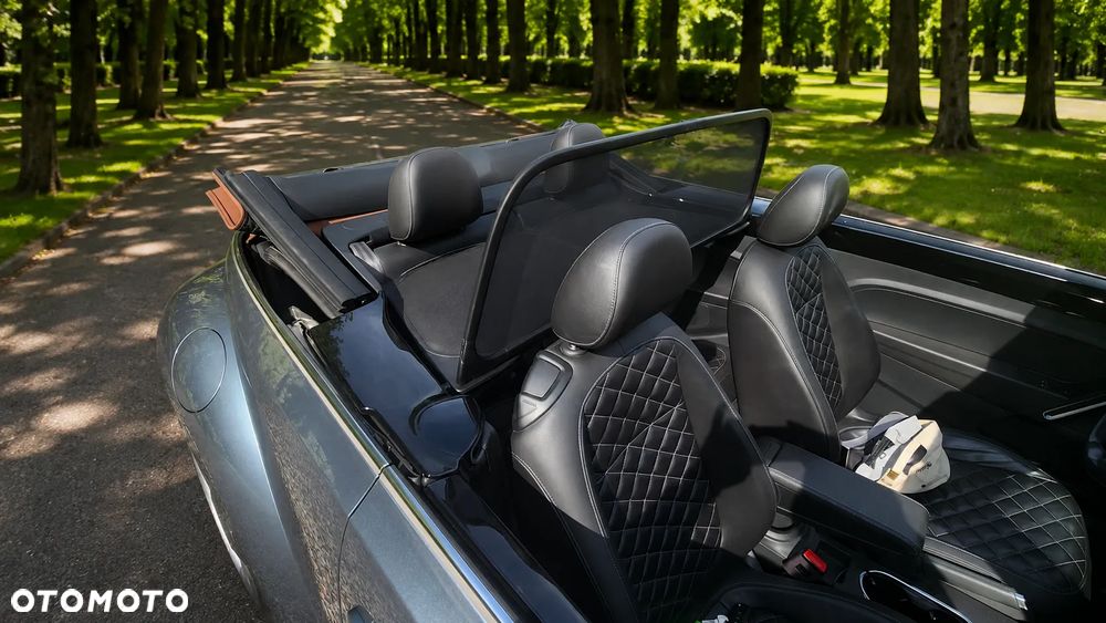 Volkswagen Beetle - 7
