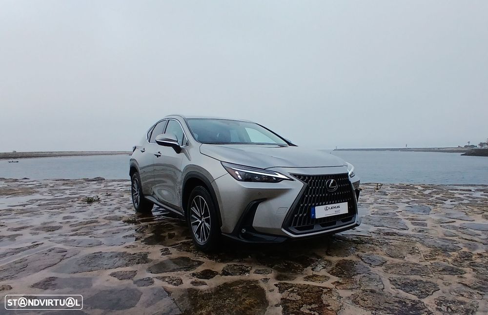 Lexus NX 450h+ - 12