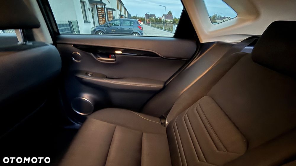 Lexus NX 300h Business Edition AWD - 19