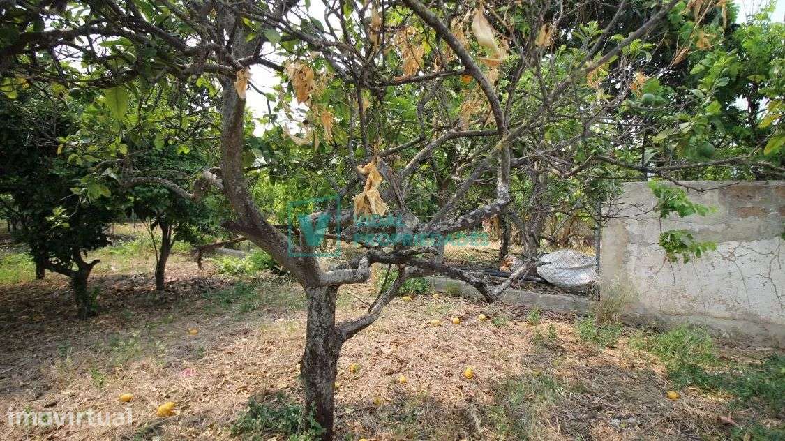 T2 em banda com garagem, jardim e terraço em Faro - Grande imagem: 2/23