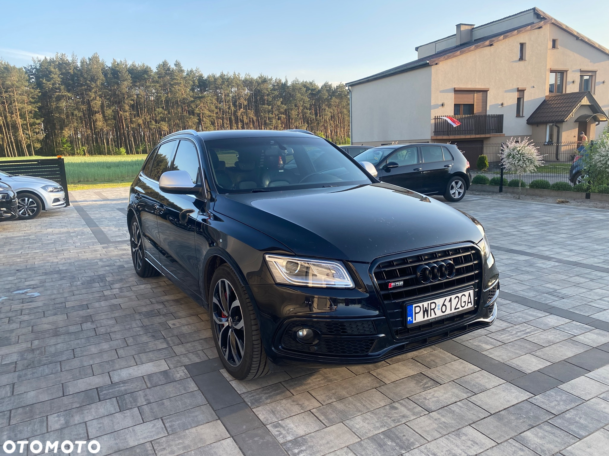 Audi SQ5 3.0 TDI Quattro Tiptronic EU6 - 2