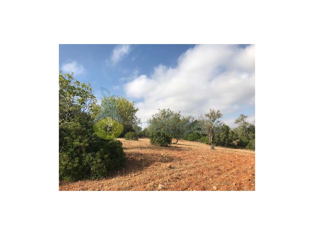 TERRENO RÚSTICO COM EXCELENTE LOCALIZAÇÃO-CANAIS-ALBUFEIRA - Grande imagem: 4/25