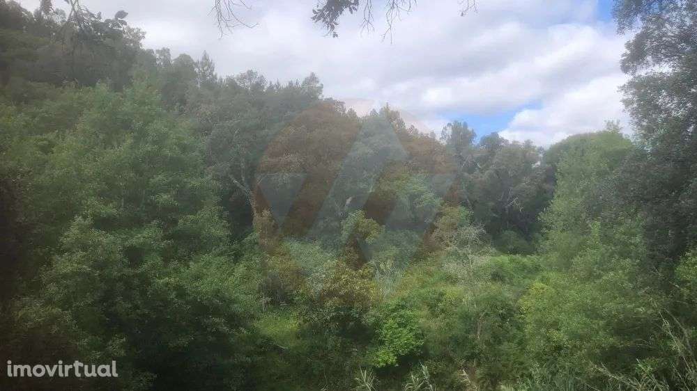 Quintinha Monchique - Grande imagem: 4/13