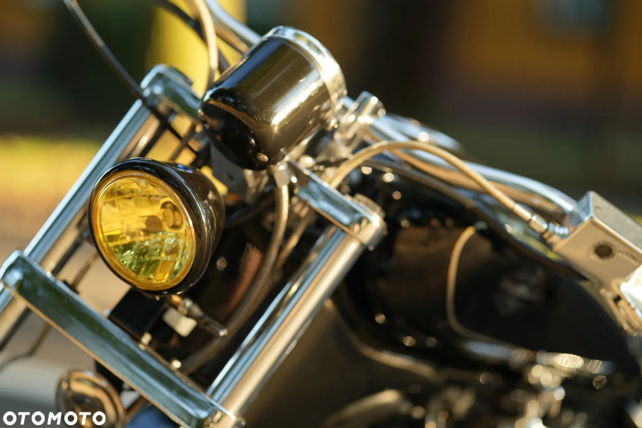 Suzuki Intruder - 1