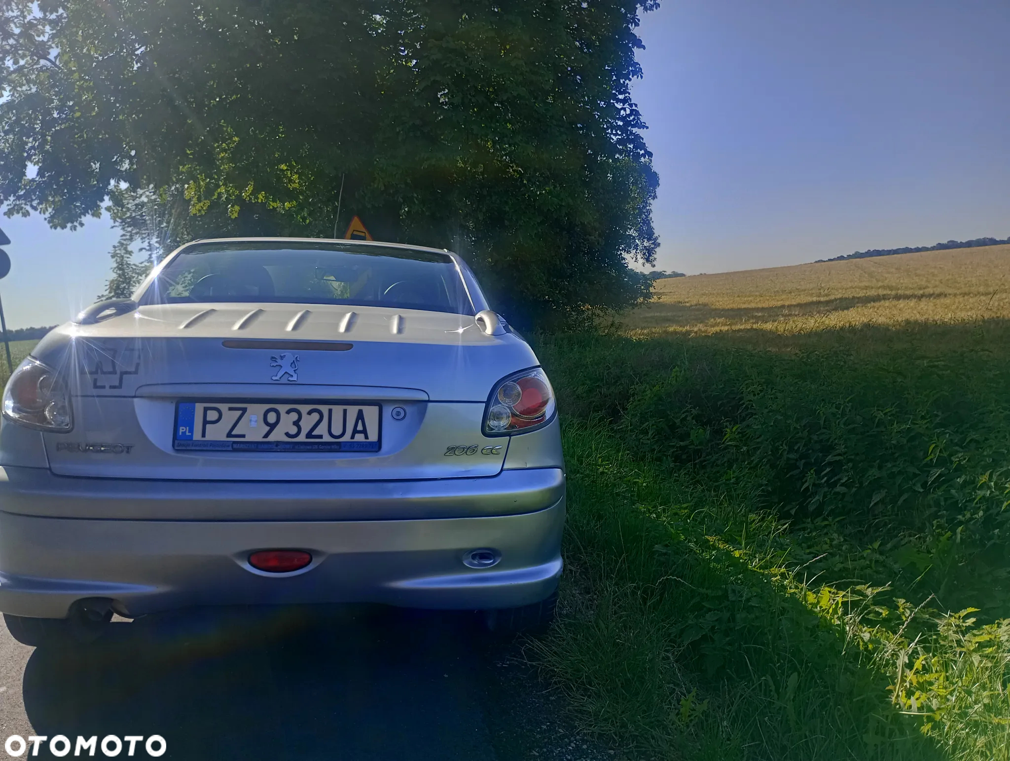 Peugeot 206 - 5
