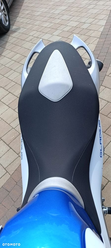 Suzuki Gladius - 10