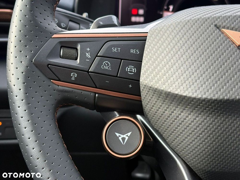 Cupra Terramar - 24